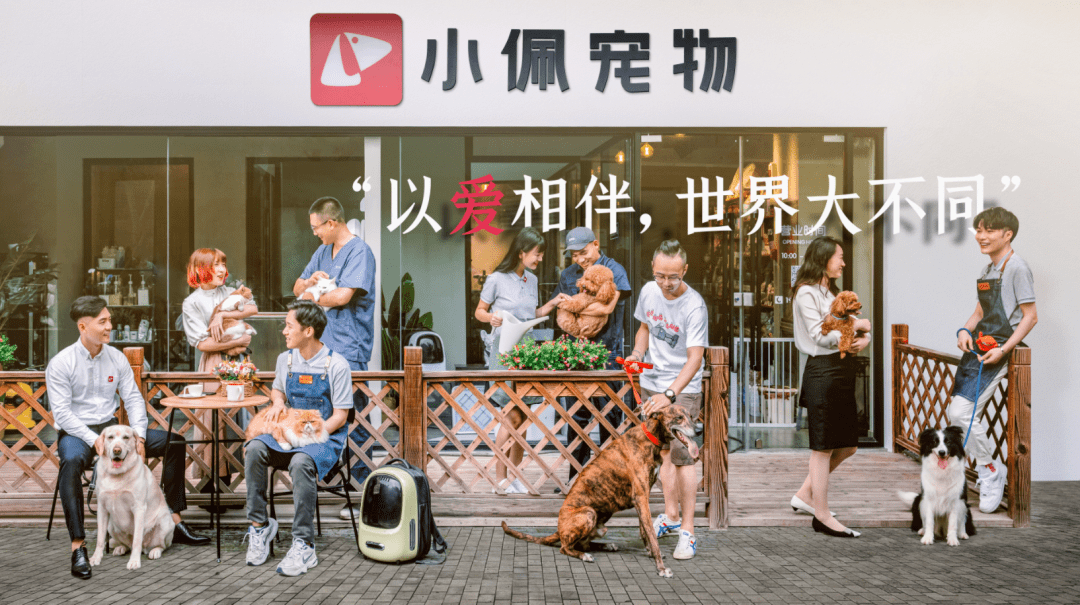 毛孩子洗护spa半价,更有神秘到店礼,小佩宠物店开业速