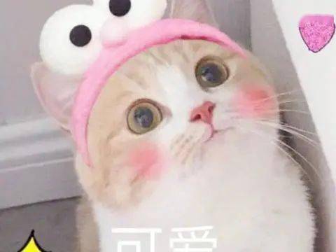 时候|为什么觉得，刚洗完澡时候最好看？