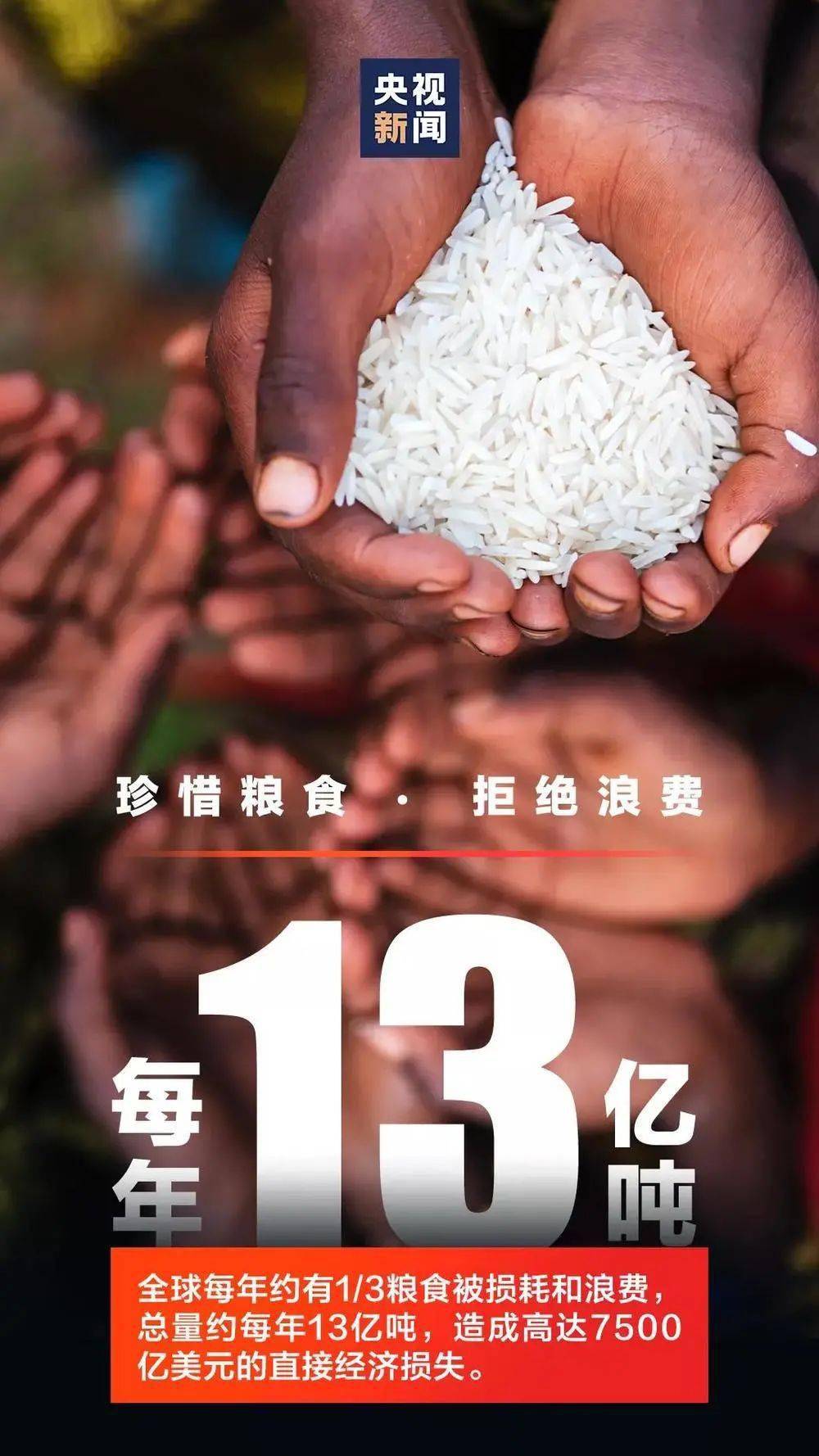 【浪费可耻 节约为荣】节约粮食 从现在开始!