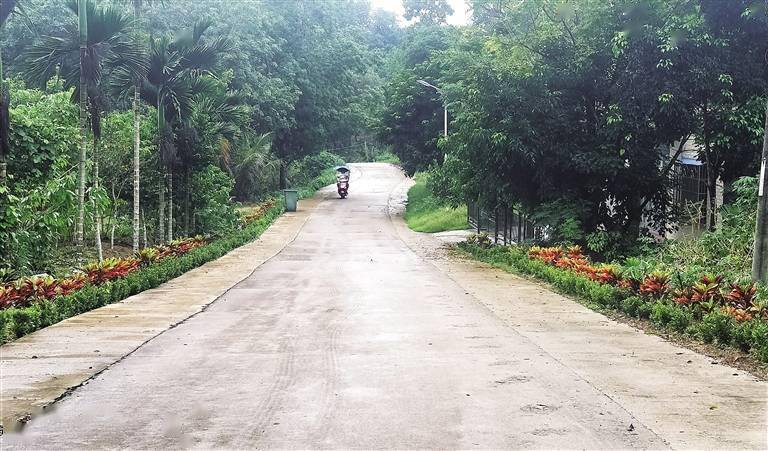 屯昌县乌坡镇村仔村:告别粪便臭 迎来花草香