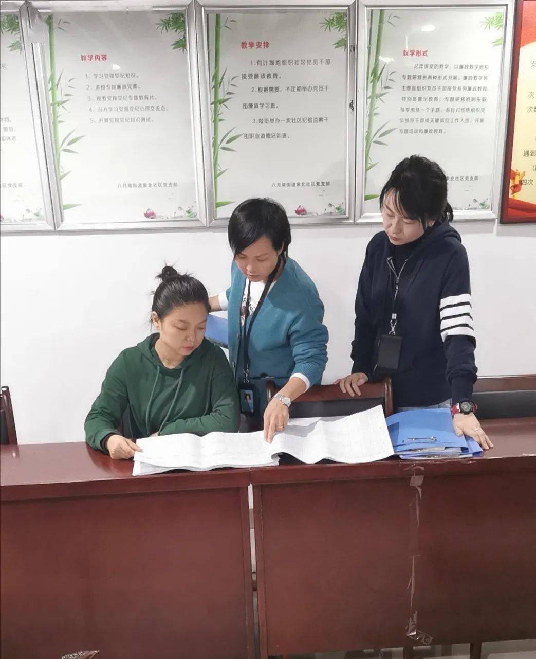 人口普查督察报告_人口普查图片