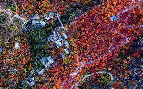 周末1日 | 秋韵【坡峰岭】国家地理推荐 北京红叶观赏