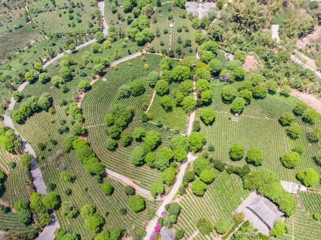 一点就到家拍摄地 7e948c564e424d3a9569e166b397d35f.jpeg