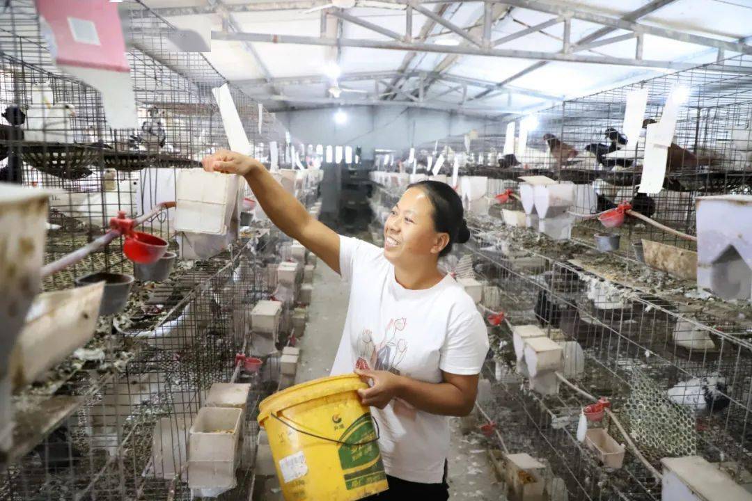 河间市西九吉人口_人口普查