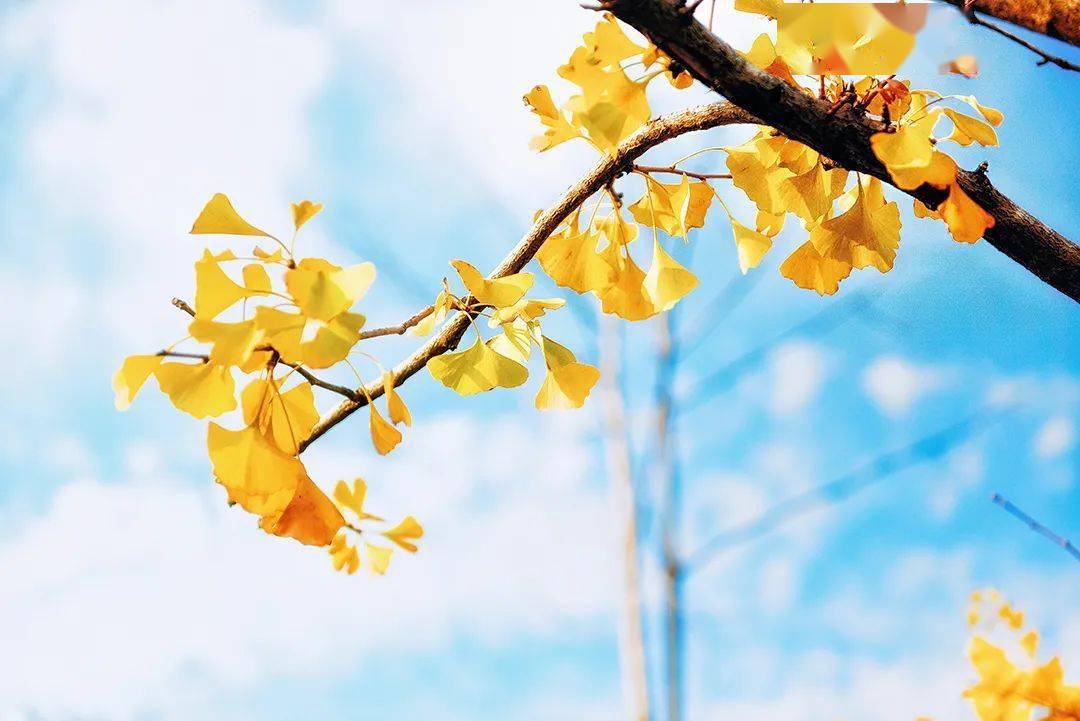 秋衣秋裤品牌排行_秋衣秋裤品牌-7丽女性网