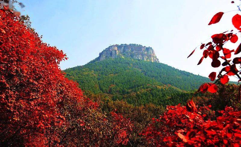 2020第十三届抱犊崮红叶文化节10月25日炫彩启幕_景区