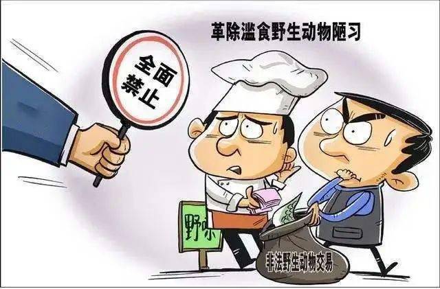 什么规陋习成语_陋习什么意思