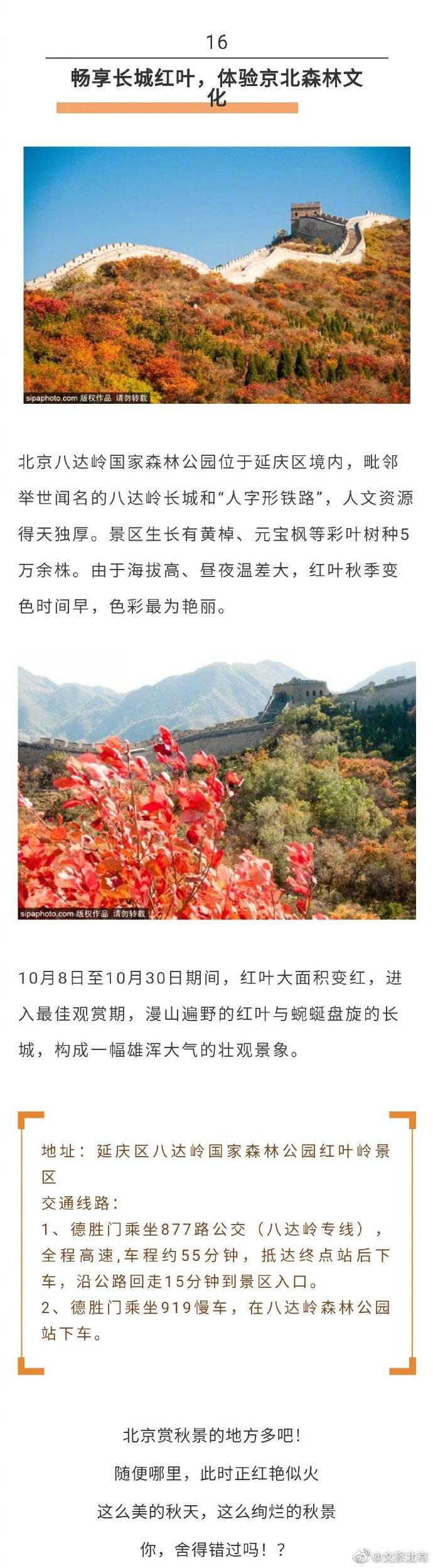 叶指南|2020北京秋季赏叶指南！