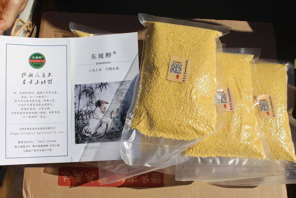 诸城人均收入_诸城恐龙博物馆(2)