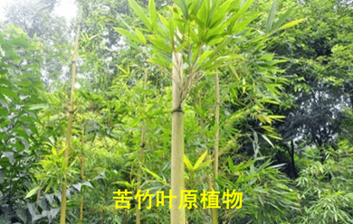 b90368dc10284892b03dd2ad3e5d634d.png