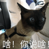 女生|为什么现在的女生，越长大越丑？