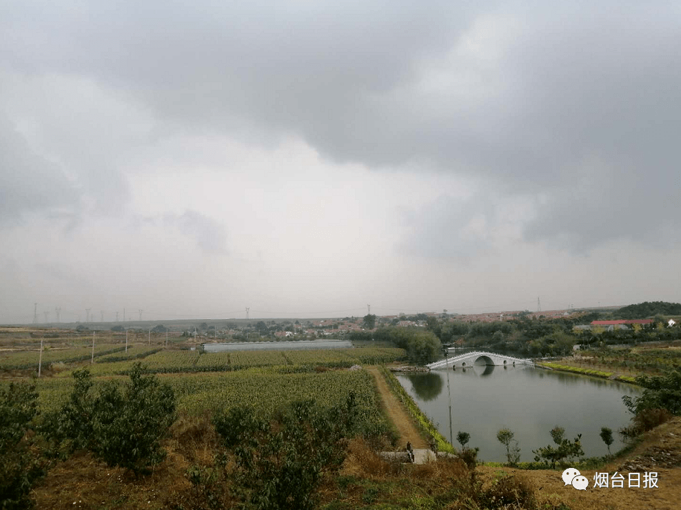 胶州市海庄村人口_胶州市郝家庄村