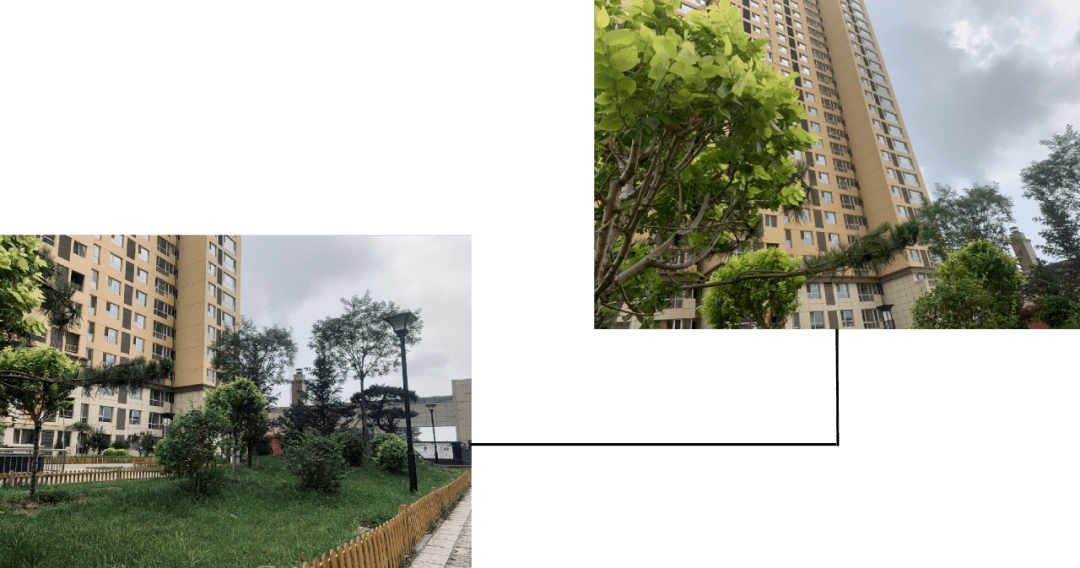 购买住房的支出属于GDP_购买年货支出统计图(3)