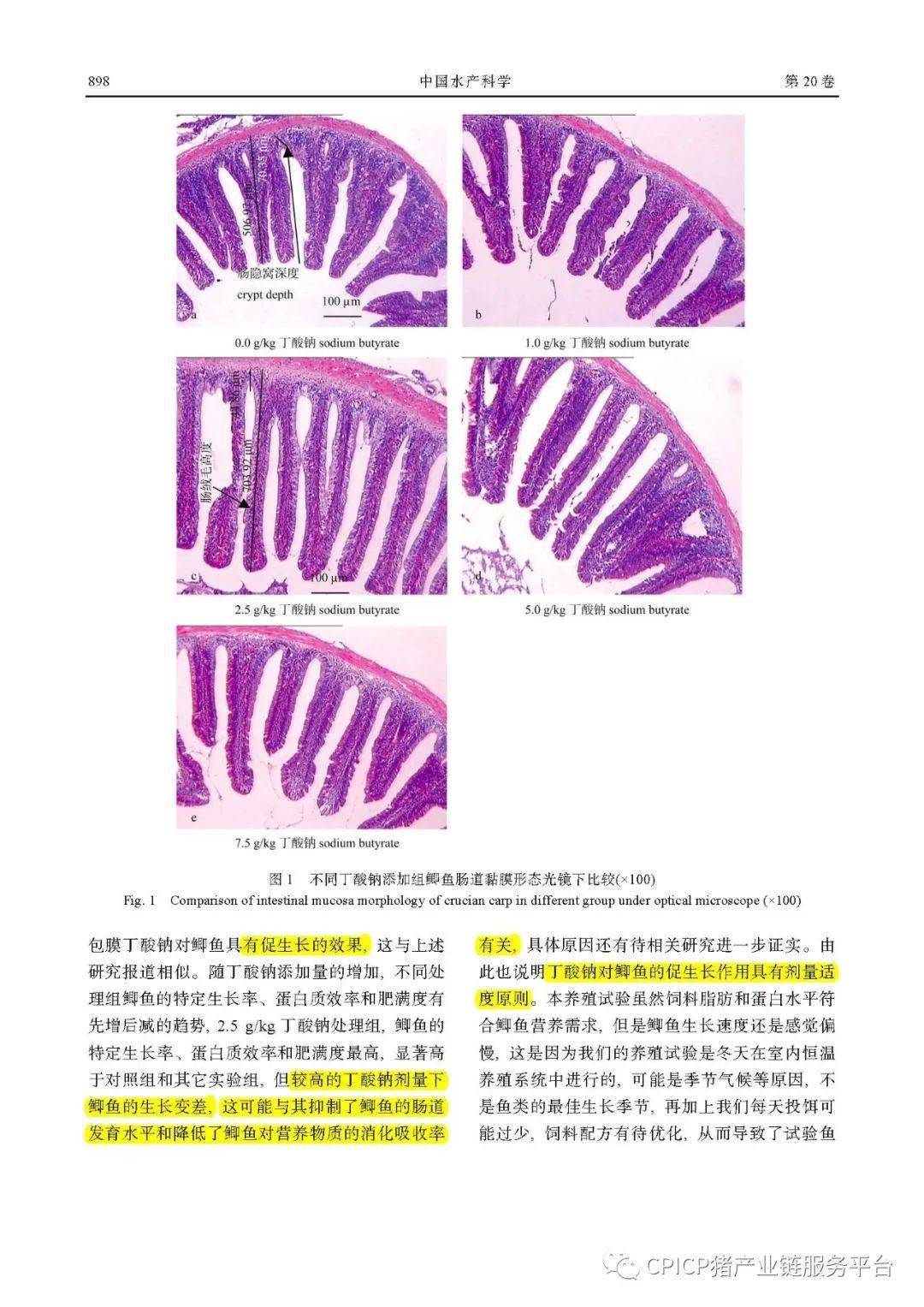 丁酸钠对鲫鱼生长和肠细胞增殖的影响