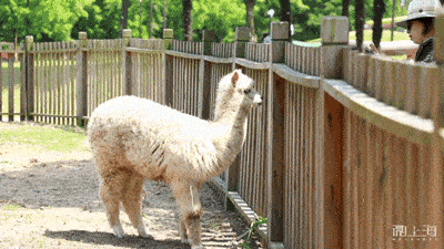辰山植物园荣获2020年度中国最佳植物园