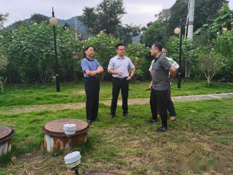 环保要闻漳平市副市长朱彩泰专题调研农村生活污水治理工作