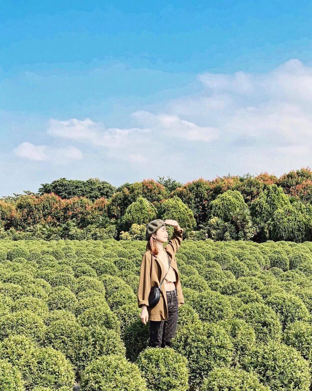 单眼皮|152cm单眼皮妹子 | 自信也可以美出一边天！