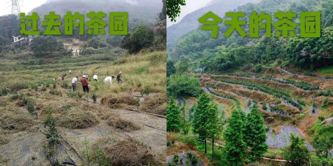 香多少人口_全球有多少贫困人口(2)