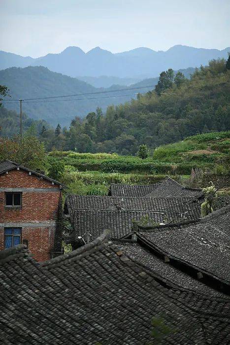 永嘉行走:北溪村