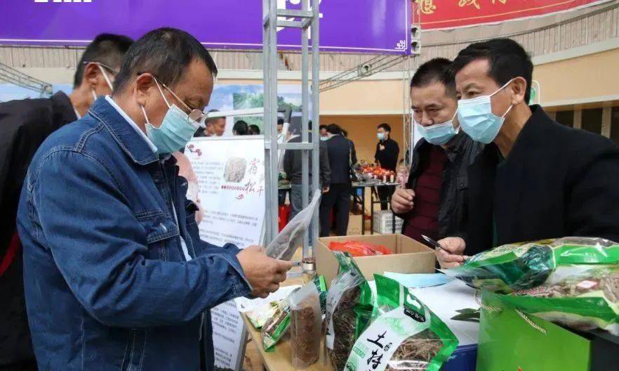 芜湖市各县区2020年G_芜湖市地图