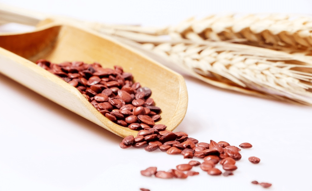 酸枣仁的功效与作用中药网 06833d0e53d4401c80c5c6c96f78334b.png