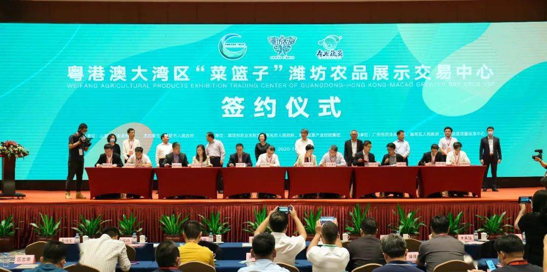 聚焦菜篮子商品协会：行业趋势与热点观察