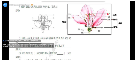 ——《解剖并观察花和果实的结构》教学案例