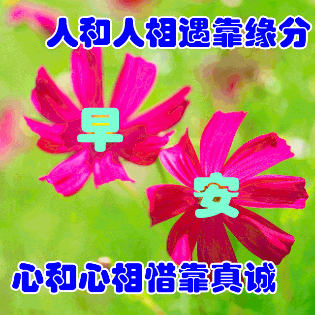 中老年表情包,天冷加衣,早安吉祥!