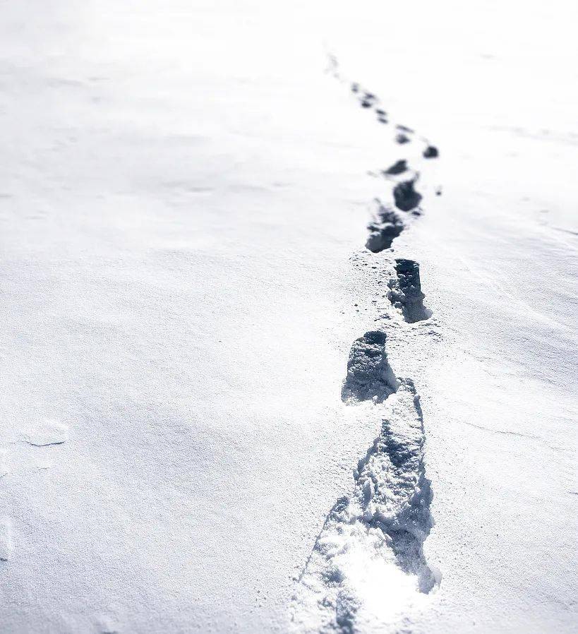 观点评论|还在苦算双11预售？我已经在10万个实体店买过瘾了！