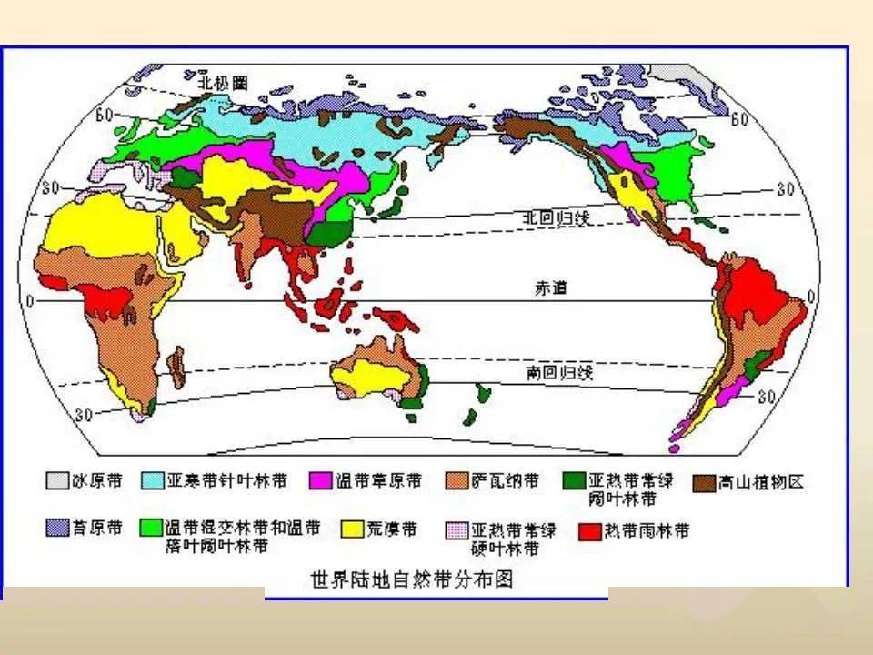 旅行青蛙与人口迁移地理问题_城市化人口问题图片(3)