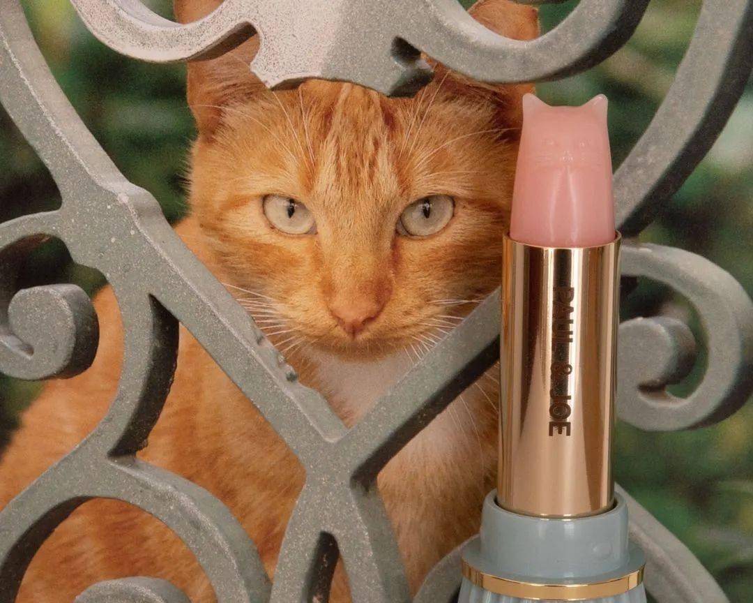 唇膏|魔法阵腮红、猫咪唇膏……我猜你肯定不舍得用这些化妆品！