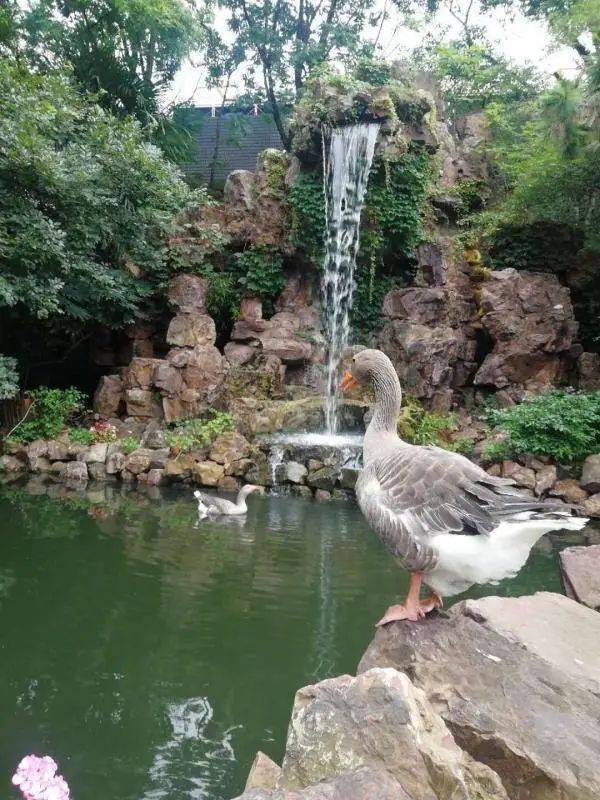 男子炖了一锅汤,结果被拘留