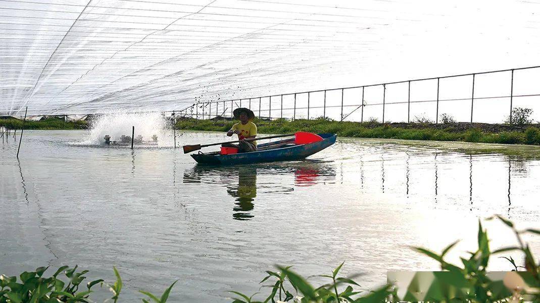 出身"名门"的现代渔业产业园——番禺区名优现代渔业