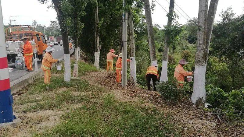 公路养护路树刷白换新装保暖防虫好模样