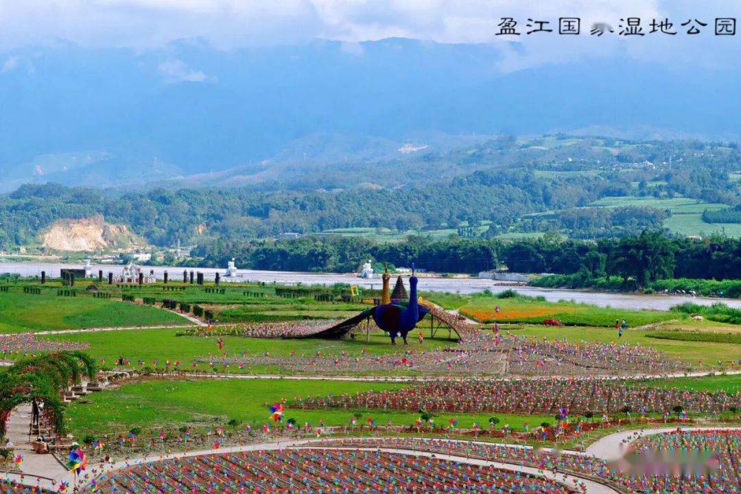 休闲打卡点|梦寻花海湿地