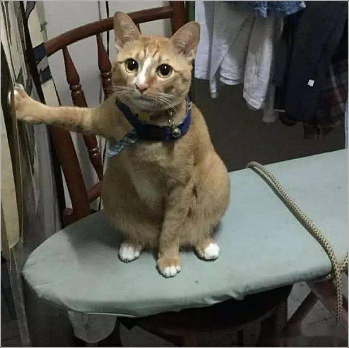 238db20a8c1647f098e2ec054654957b.jpeg