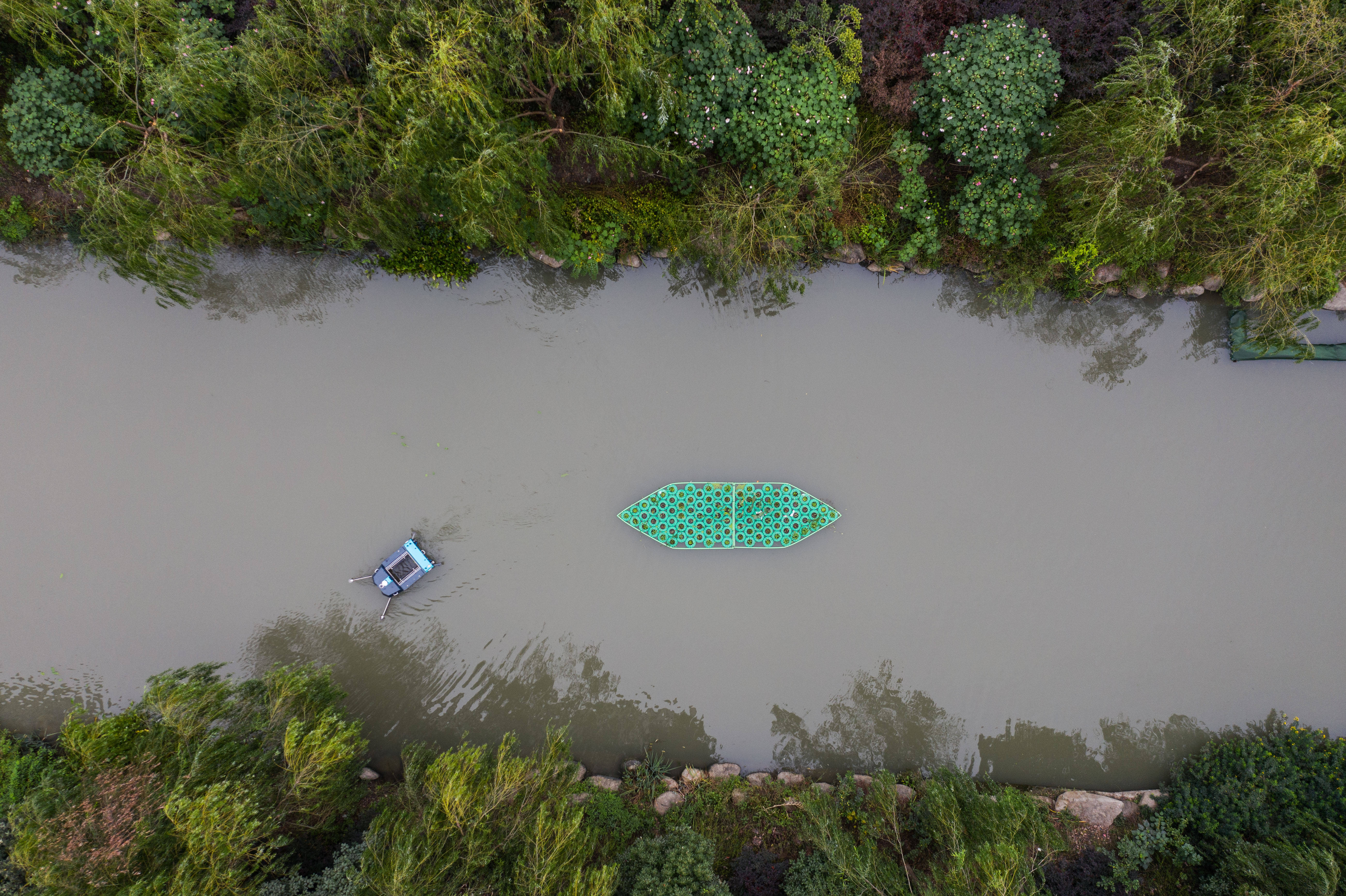 新街道横河港河道水域的河道垃圾自动清扫系统正在收集水面漂浮的树叶