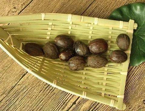 大厨必学的香料知识,这五道菜品教你了解肉豆蔻的使用