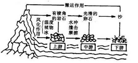 说课板书设计模板