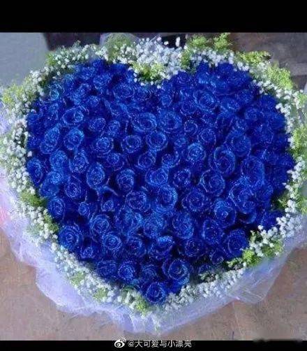 iphone12蓝色和黑色哪个好看 b76aca5875d5485d9af1e4cfd415f4dd.jpeg