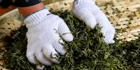 建议|一次性把茶王岩茶讲清楚！(建议收藏)