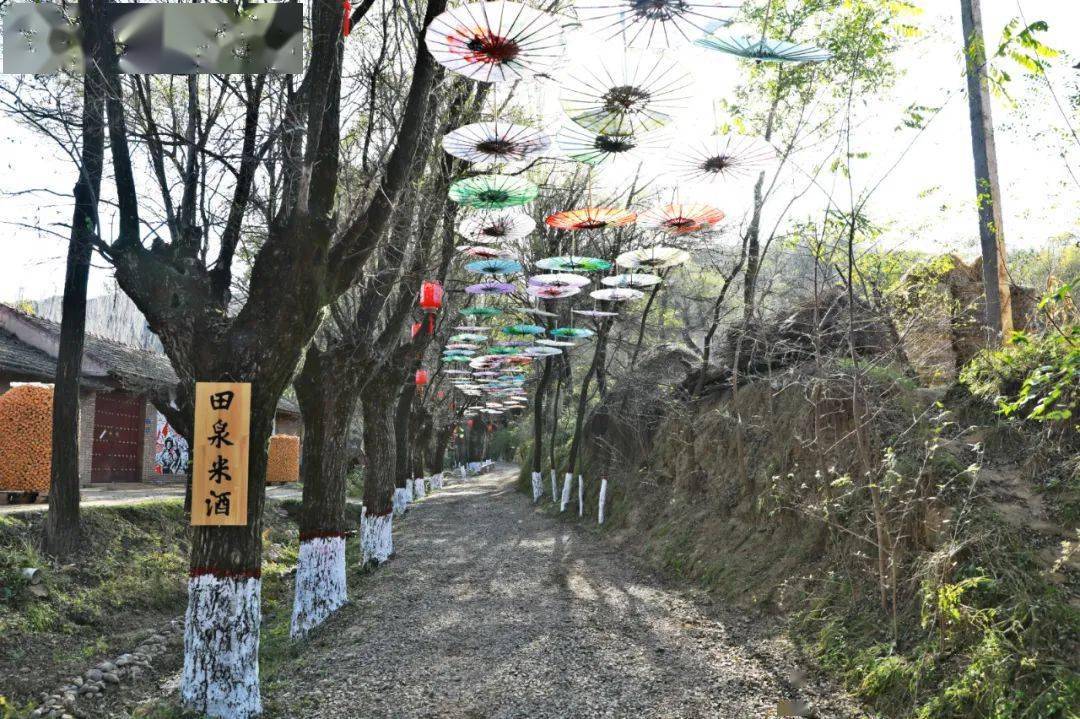储寨村人口(2)