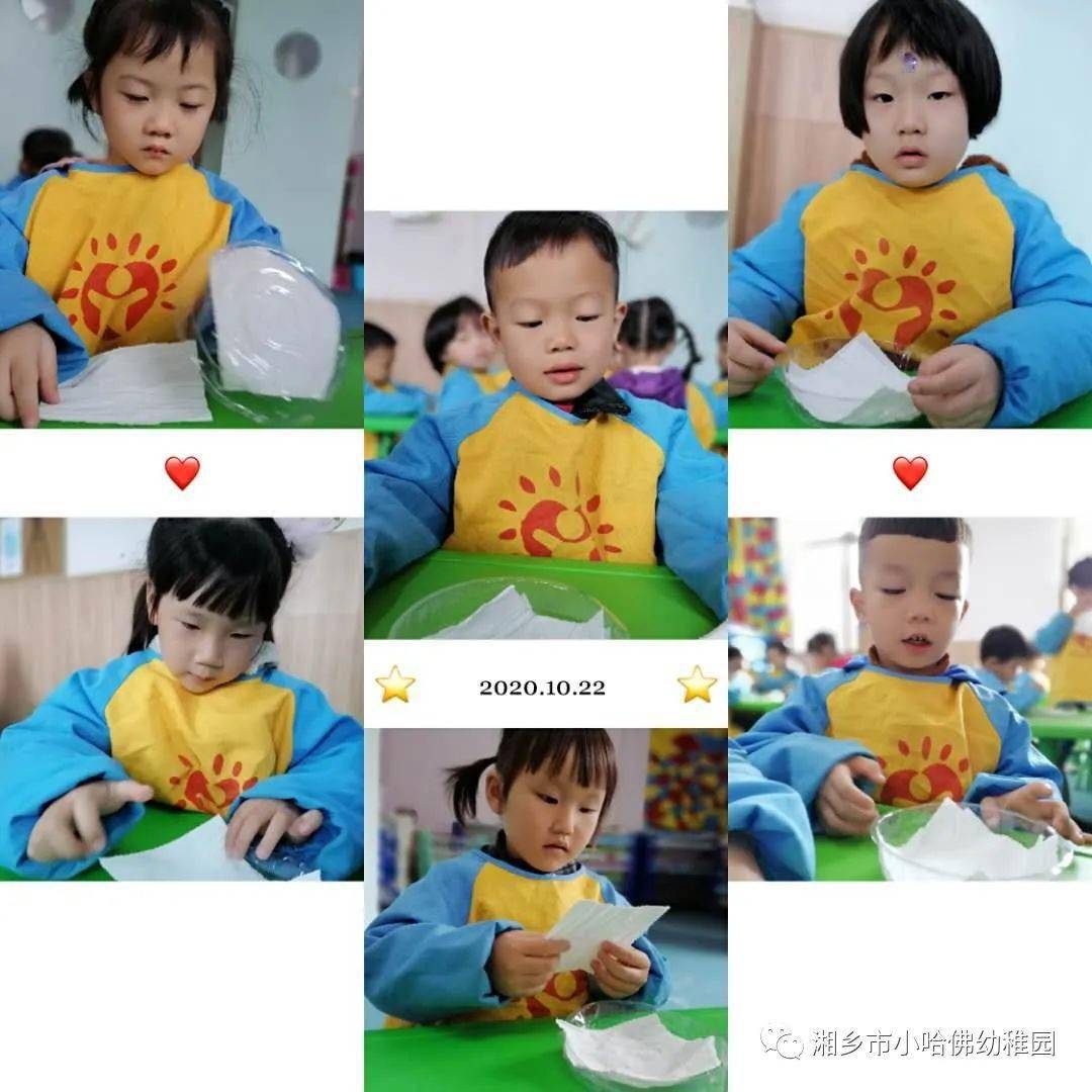 5ce6c4a2337b4119abc28a08adfc9294.jpeg