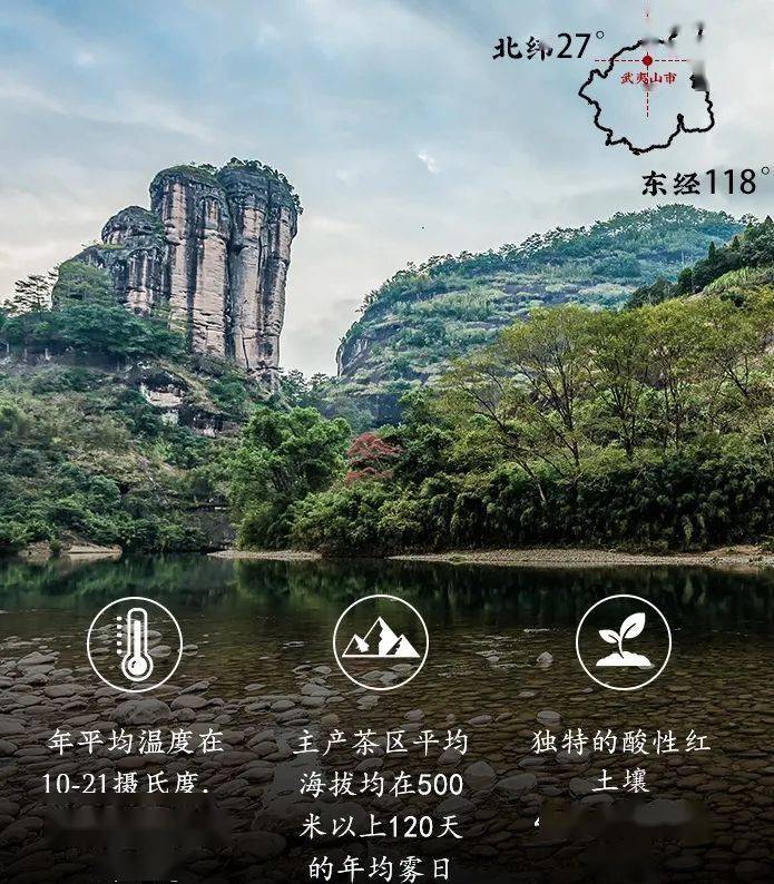 建议|一次性把茶王岩茶讲清楚！(建议收藏)