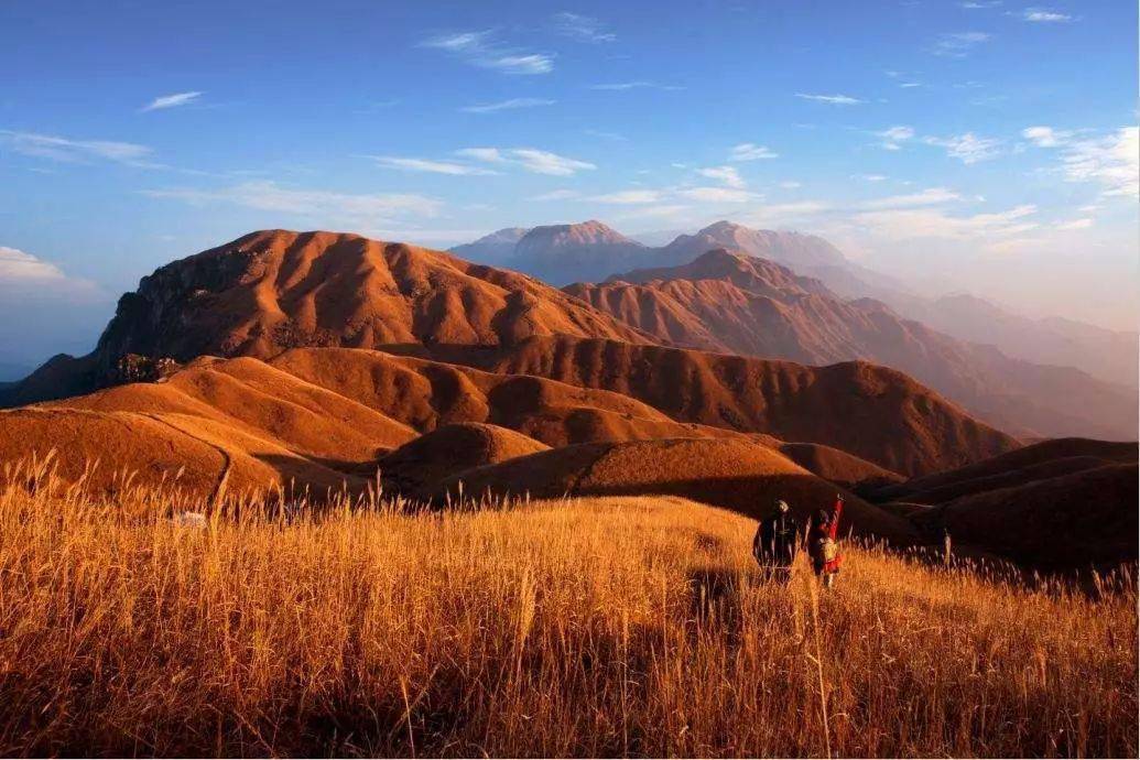 赶紧mark起来,武功山秋日最美风景已开始,千万别错过