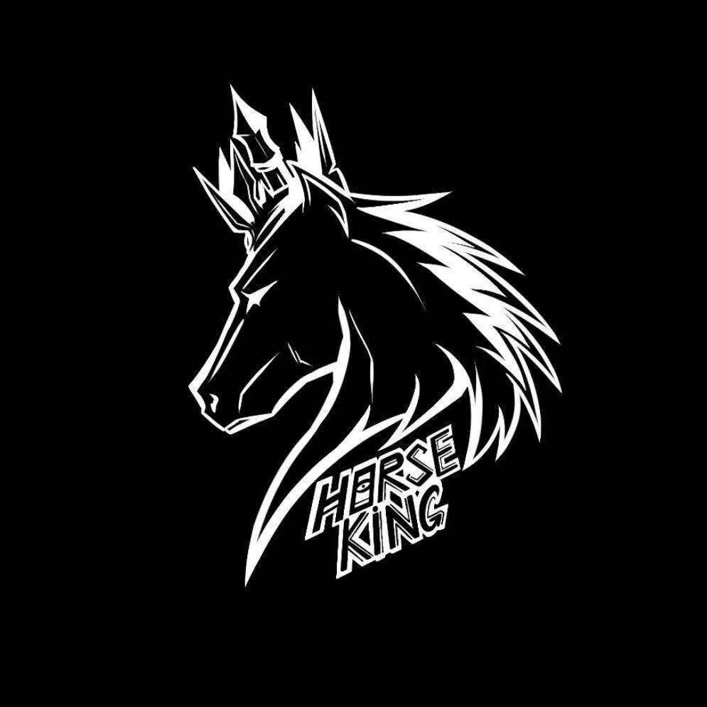马王horseking厂牌2020巡演 正式启动!