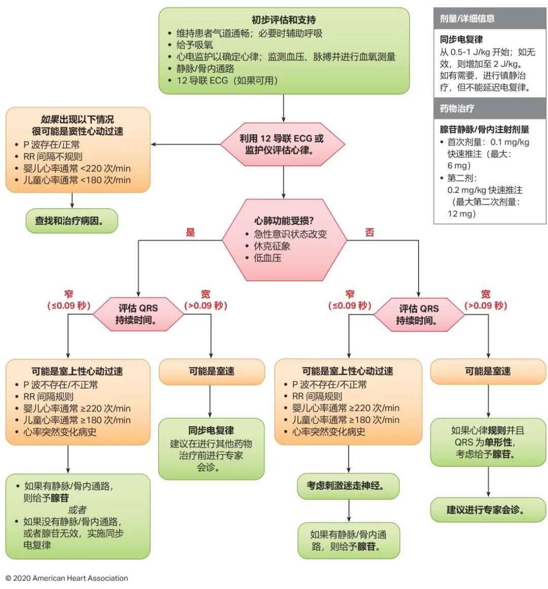 10图快速掌握aha最新版心肺复苏指南