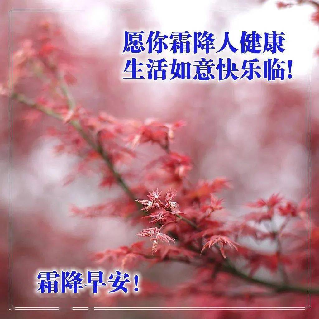 最美霜降早上好问候语阳光句子,早上好祝福语带图