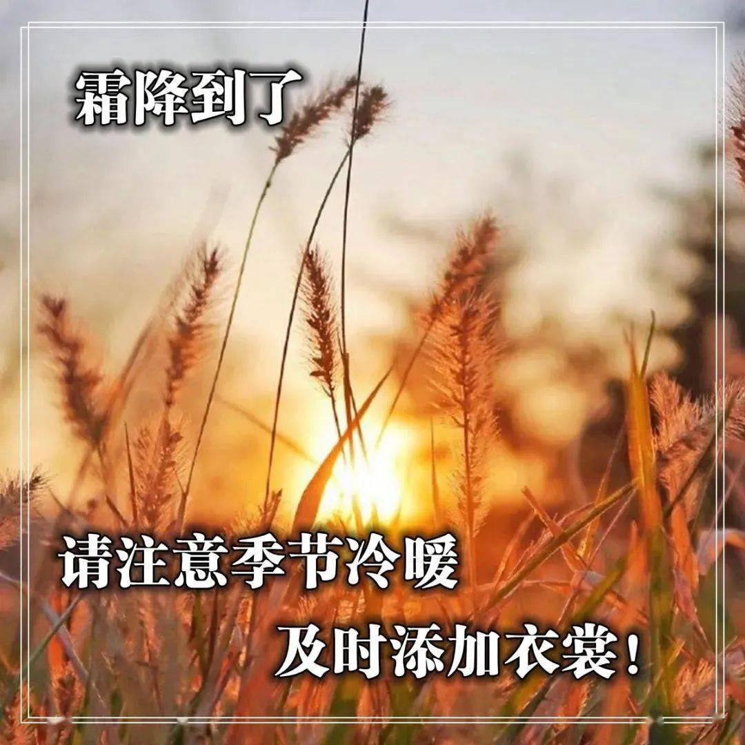 最美霜降早上好问候语阳光句子早上好祝福语带图