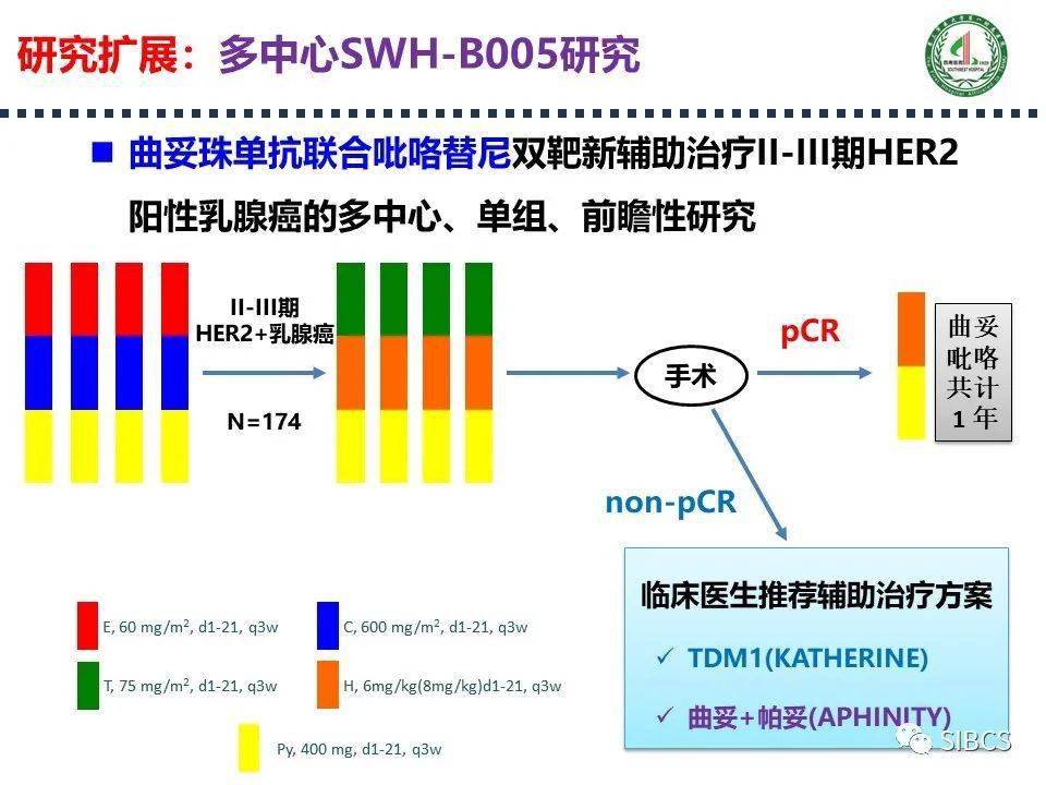 吡咯替尼曲妥珠单抗术前治疗乳腺癌